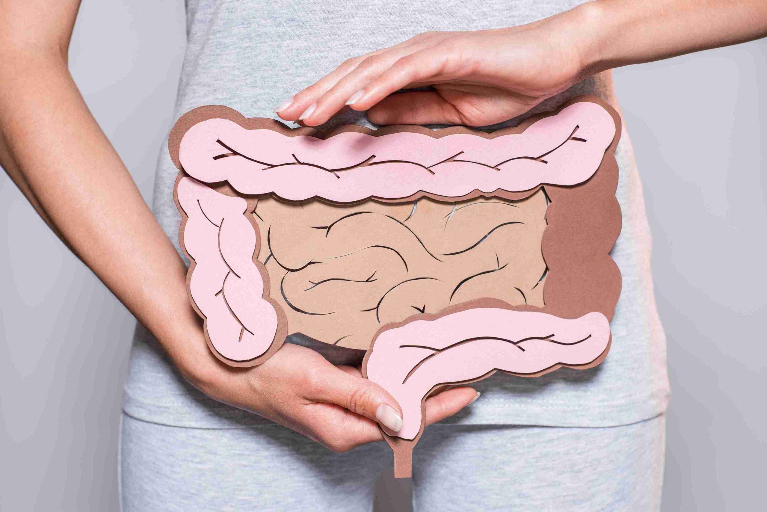 Woman holding a paper-made human colon over her stomach.