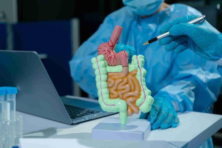 Healthcare worker pointing at a human digestive anatomy model.